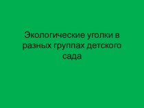 Экологические уголки в разных группах детского сада