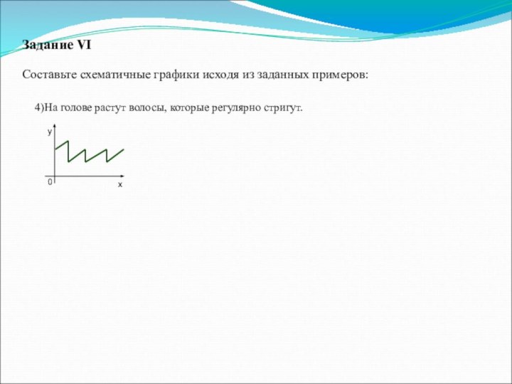 4)На голове растут волосы, которые регулярно стригут.Задание VIСоставьте схематичные графики исходя из заданных примеров: