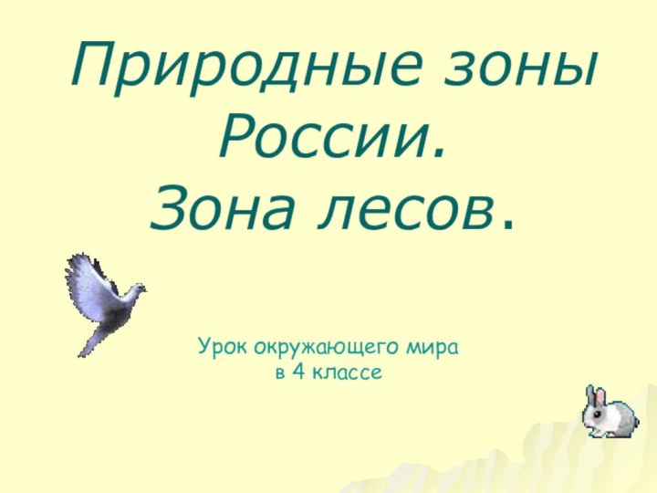 Природные зоны России.  Зона лесов.Урок окружающего мира в 4 классе