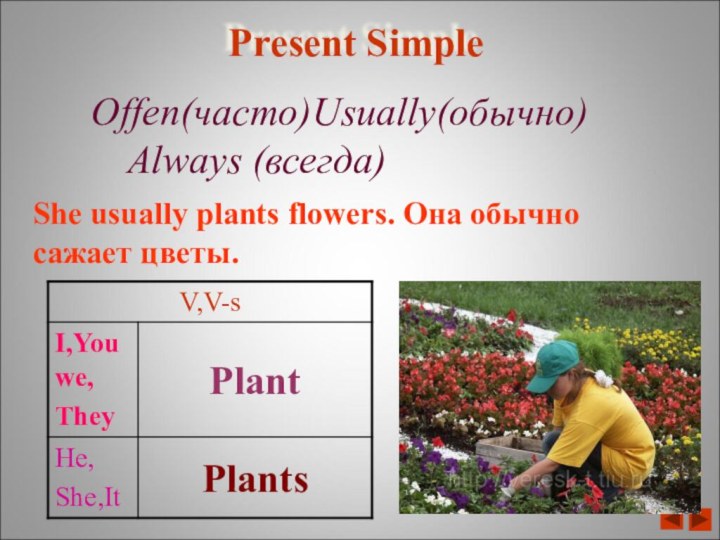 Present SimpleOffen(часто)Usually(обычно)		Always (всегда)She usually plants flowers. Она обычно сажает цветы.