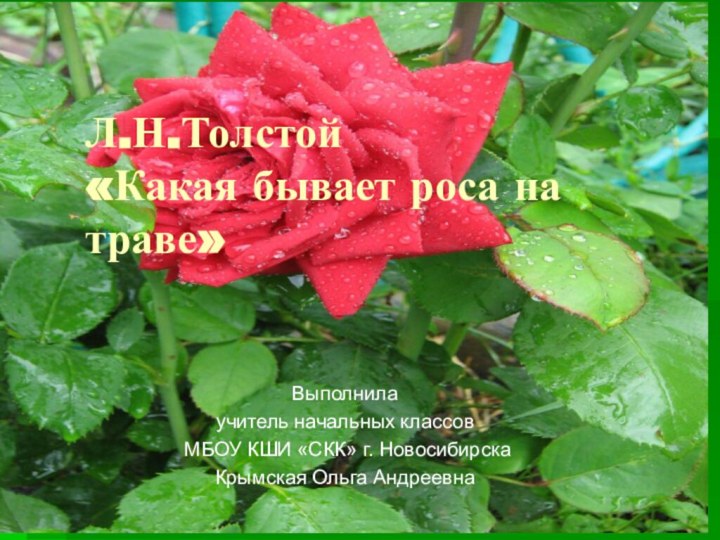 Л.Н.Толстой  «Какая бывает роса на траве»Выполнилаучитель начальных классов МБОУ КШИ «СКК» г. НовосибирскаКрымская Ольга Андреевна