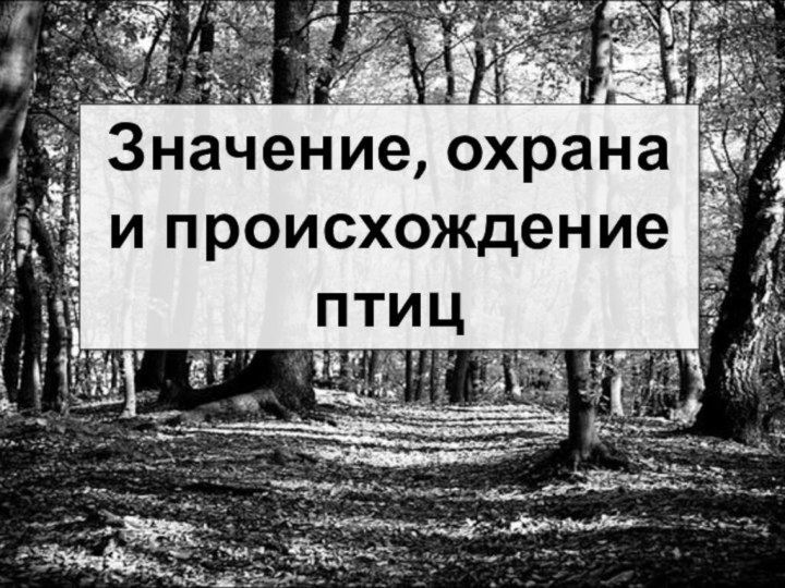 Значение, охрана и происхождение птиц