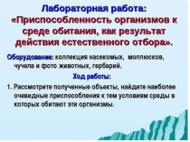 Лабораторная работа Приспособленность организмов к среде обитания, как результат естественного отбора биология 9 класс