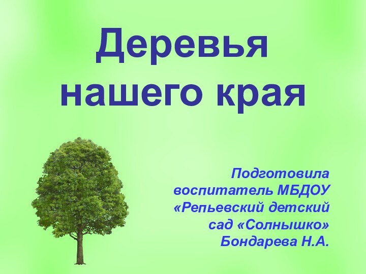 Деревья нашего краяПодготовила воспитатель МБДОУ «Репьевский детский сад «Солнышко» Бондарева Н.А.