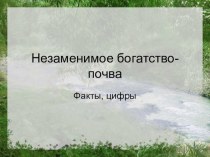 Презентация по экологии Главное богатство - Почва!