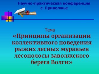 Презентация исследовательской работыПринципы организации коллективного поведения рыжих лесных муравьёв