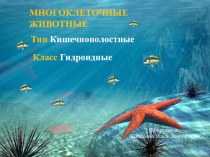 Презентация по биологии на тему Многоклеточные животные. Тип Кишечнополостные. Класс Гидроидные (7 класс)