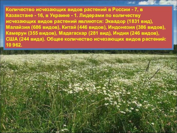 Количество исчезающих видов растений в России - 7, в Казахстане - 16,