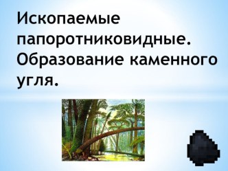 Презентация по биологии на тему: Ископаемые папоротникообразные. Образование каменного угля (6 класс)