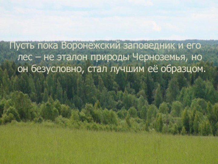 Пусть пока Воронежский заповедник и его лес – не эталон природы Черноземья,