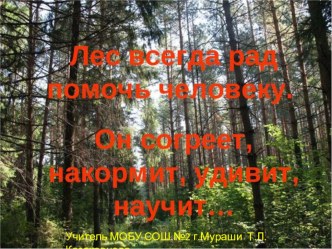 Презентация по окружающему миру В царстве грибов