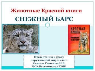 Презентация к уроку окружающий мир по теме Животные Красной книги. УМК ПНШ 2 класс