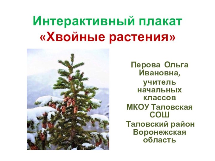 Интерактивный плакат «Хвойные растения»Перова Ольга Ивановна,учитель начальных классовМКОУ Таловская СОШ Таловский район Воронежская область