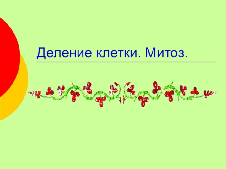 Деление клетки. Митоз.