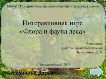 Интерактивная игра по окружающему миру на тему Флора и фауна леса (1-4 классы)