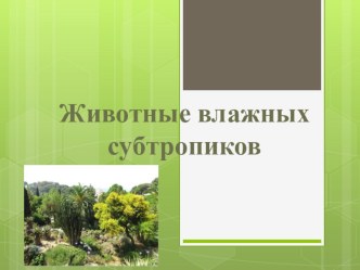 Презентация по окружающему миру на тему Животные влажных субтропиков