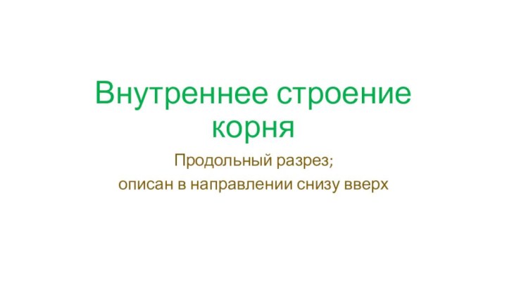 Внутреннее строение корняПродольный разрез; описан в направлении снизу вверх