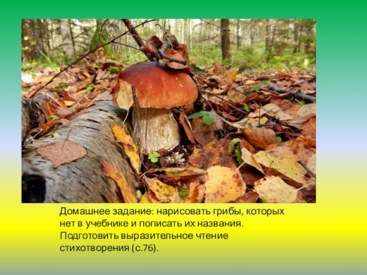 Домашнее задание: нарисовать грибы, которых нет в учебнике и пописать их названия.