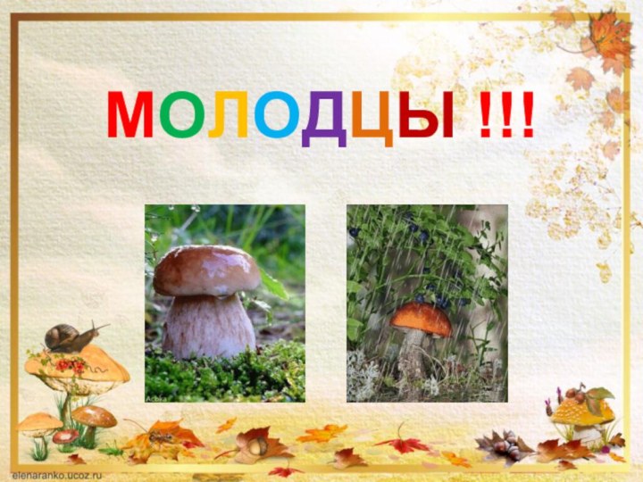 МОЛОДЦЫ !!!