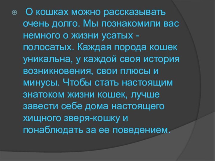 О кошках можно рассказывать очень долго. Мы познакомили вас немного о