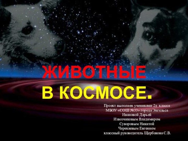 ЖИВОТНЫЕ  В КОСМОСЕ.Проект выполнен учениками 2д классаМБОУ «СОШ №33» города Энгельса