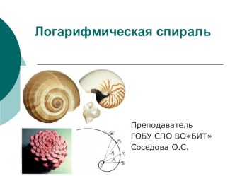 Презентация по математике Логарифмическая спираль