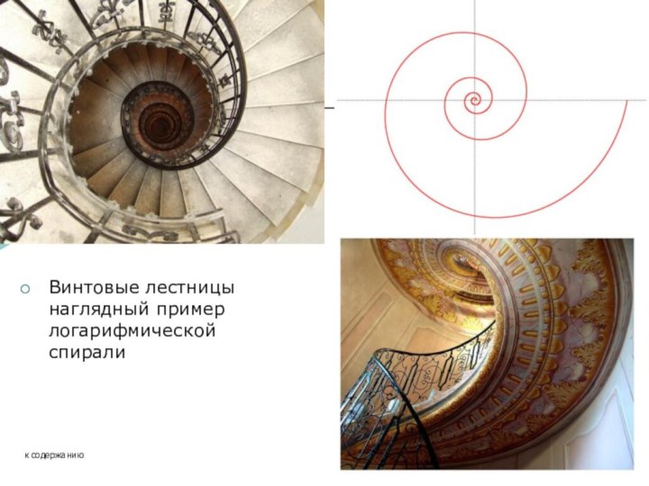 Винтовые лестницы наглядный пример логарифмической спирали к содержанию