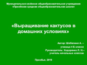 Презентация о выращивании кактусов в домашних условиях