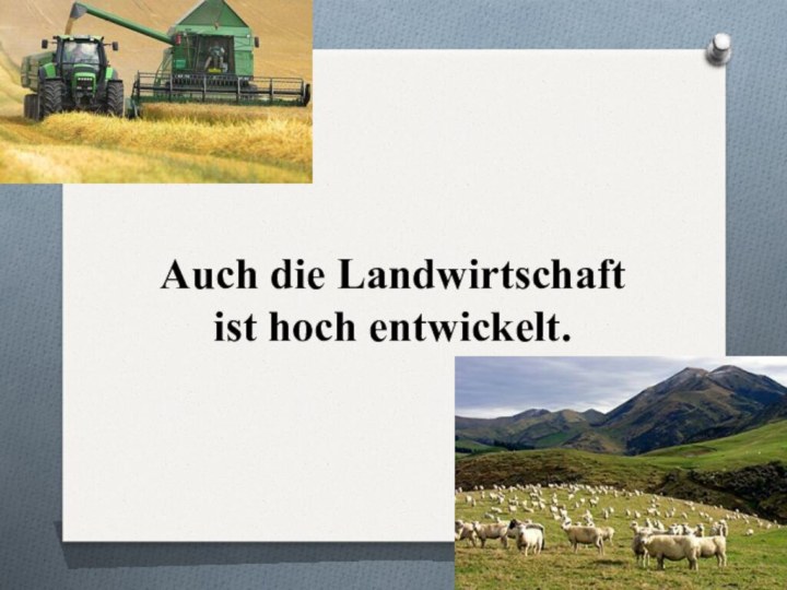 Auch die Landwirtschaft ist hoch entwickelt.