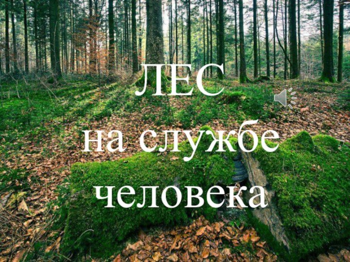 ЛЕС на службе человека