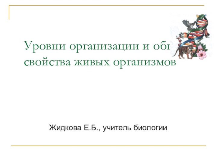 Уровни организации и общие свойства живых организмов Жидкова Е.Б., учитель биологии