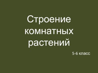 Строение комнатных растений (5-6 класс, элективный курс Мир комнатных растений)