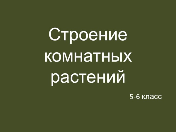 Строение комнатных растений5-6 класс