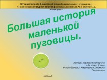 Презентация к исследовательской работе на тему Большая история маленькой пуговицы