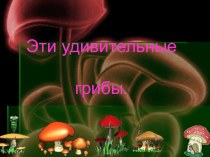Презентация по окружающему миру на тему Эти удивительные грибы (3 класс)