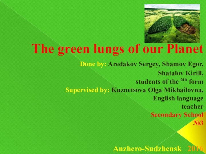 The green lungs of our Planet