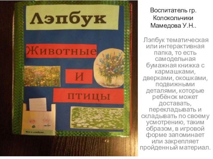 Воспитатель гр. Колокольчики Мамедова У.Н.. Лэпбук тематическая или интерактивная папка, то есть