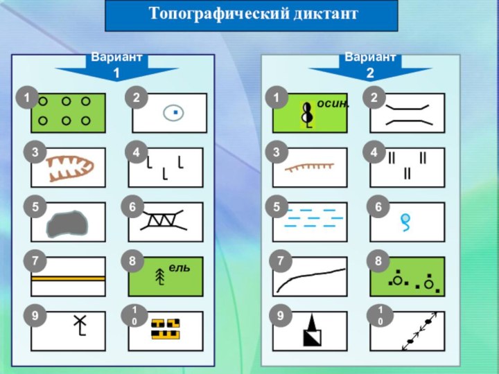 Топографический диктантВариант1Вариант2 .12осин.123344556677 . . . .ель88101099