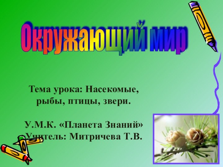 Тема урока: Насекомые, рыбы, птицы, звери.  У.М.К. «Планета Знаний» Учитель: Митричева Т.В.Окружающий мир