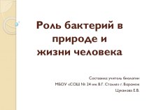 Презентация по биологии на тему Роль бактерий в природе и жизни человека