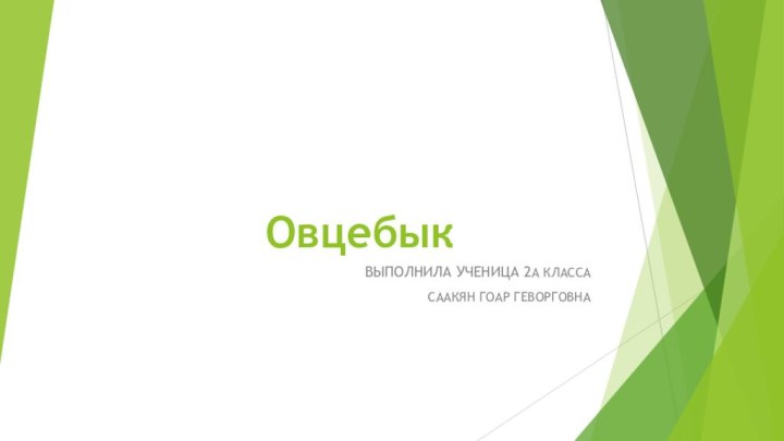 Овцебык ВЫПОЛНИЛА УЧЕНИЦА 2А КЛАССАСААКЯН ГОАР ГЕВОРГОВНА