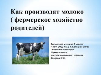 Исследовательская работа Как производят молоко