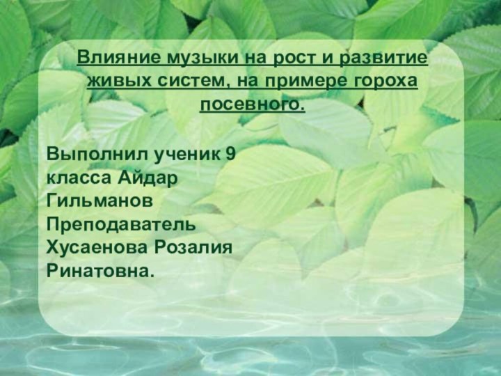 Влияние музыки на рост и развитие живых систем, на примере гороха посевного.Выполнил