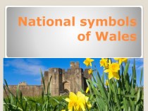 Презентация по английскому языку  National symbols of Wales