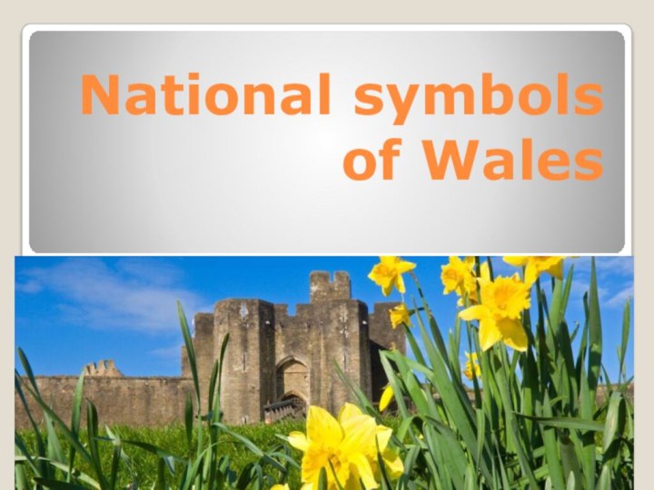 National symbols of Wales