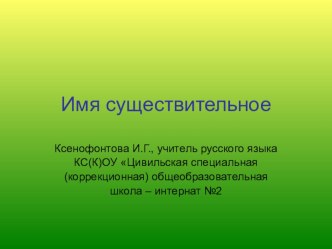 Презентация по русскому языку Имя существительное