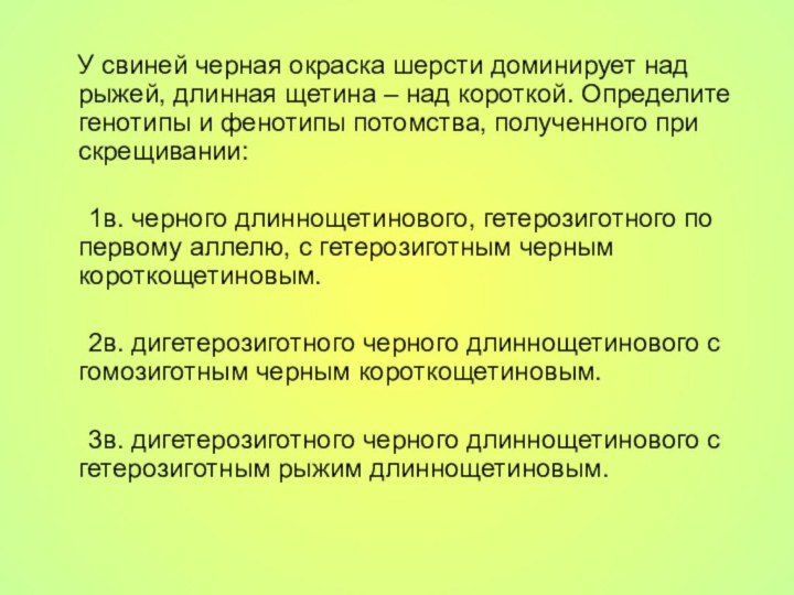 У свиней черная окраска шерсти доминирует над рыжей, длинная щетина