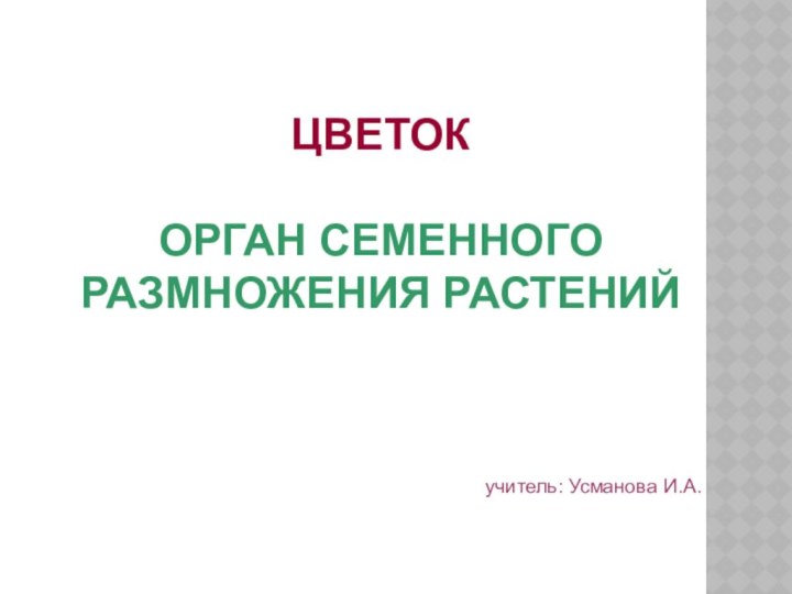 ЦВЕТОК ОРГАН СЕМЕННОГО РАЗМНОЖЕНИЯ РАСТЕНИЙ  учитель: Усманова И.А.