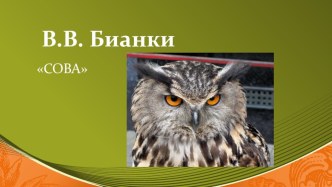 В.В. Бианки Сова Презентация к уроку литературного чтения 2 класс.