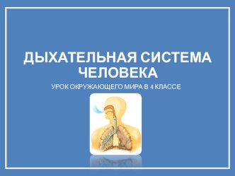 Окружающий мир. Дыхательная система